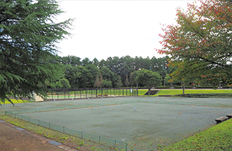 ゲートボール場（大川ふるさと公園）